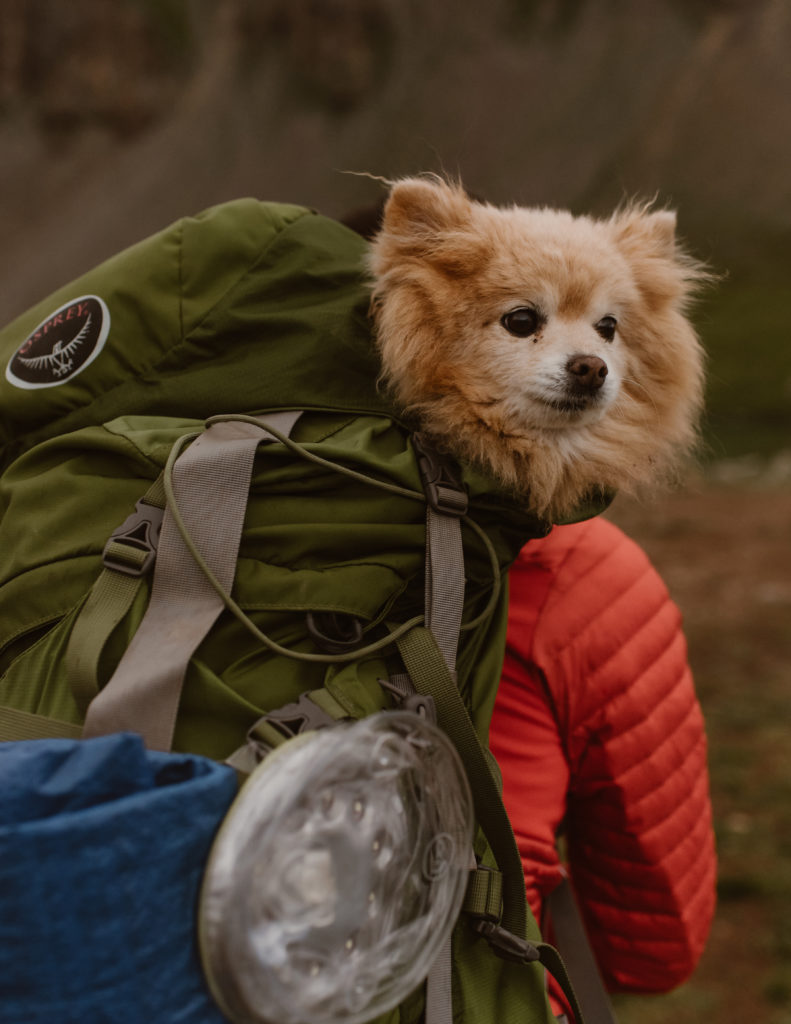 Colorado backpacking elopement