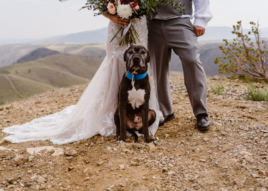 Wyoming Elopement