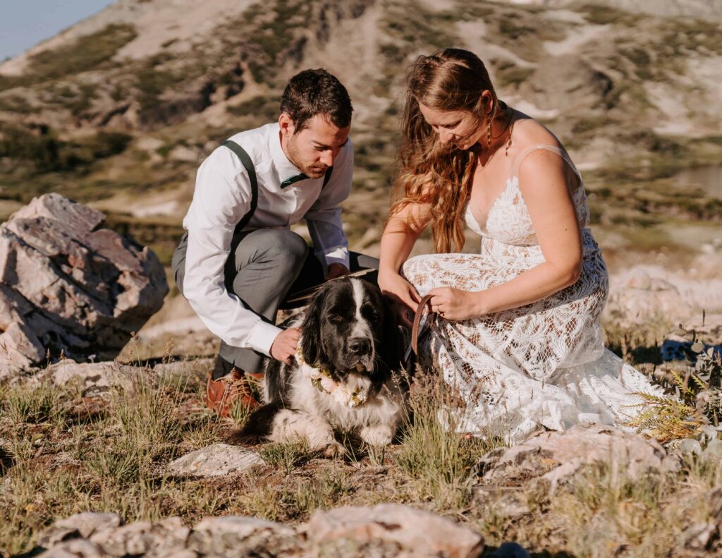 Close up of bride and grooms dog during their camping elopement in Wyoming