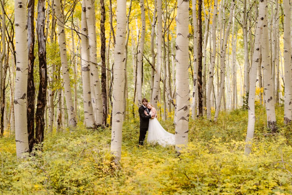 Couple stands in an Aspen grove after their elopement in Telluride, Colorado