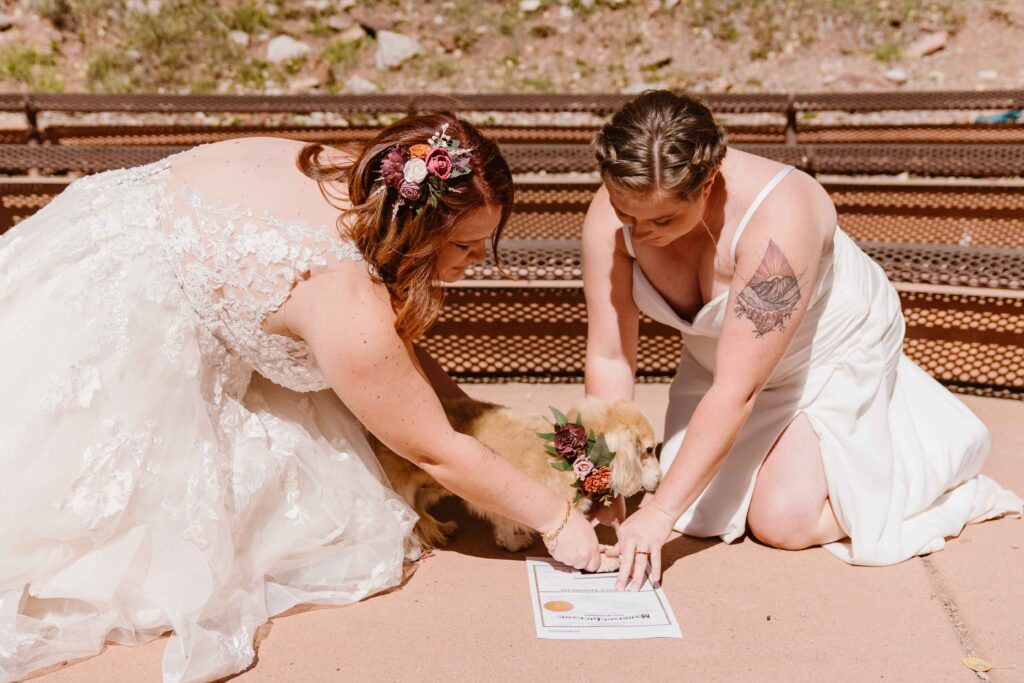 Lesbian couple has their dog sign as their witness on their marriage license during their Colorado elopement