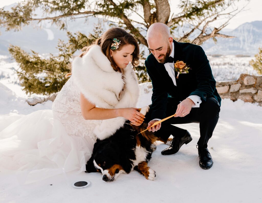 Couples dog signs their marriage license at their winter elopement at Sapphire Point Overlook in Breckenridge, Colorado