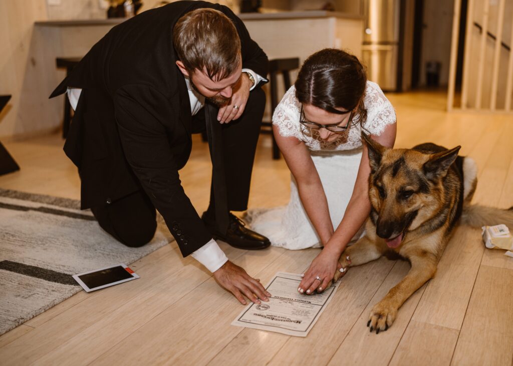 Couples dog signs their Colorado marriage license