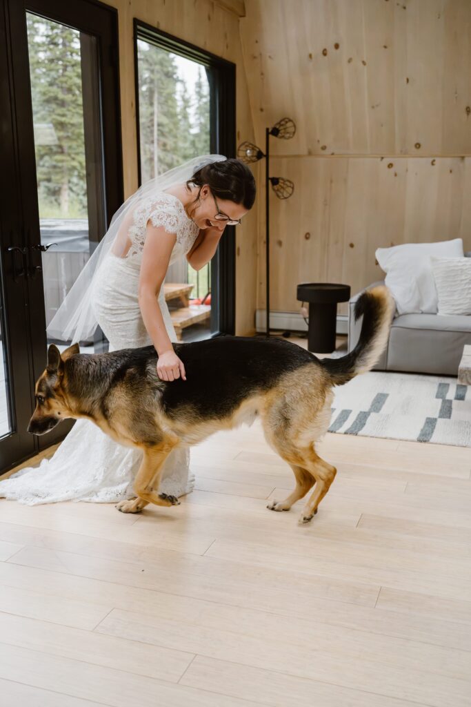 Bride pets her dog on her wedding day