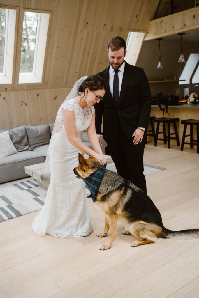 Bride pets her dog on her wedding day