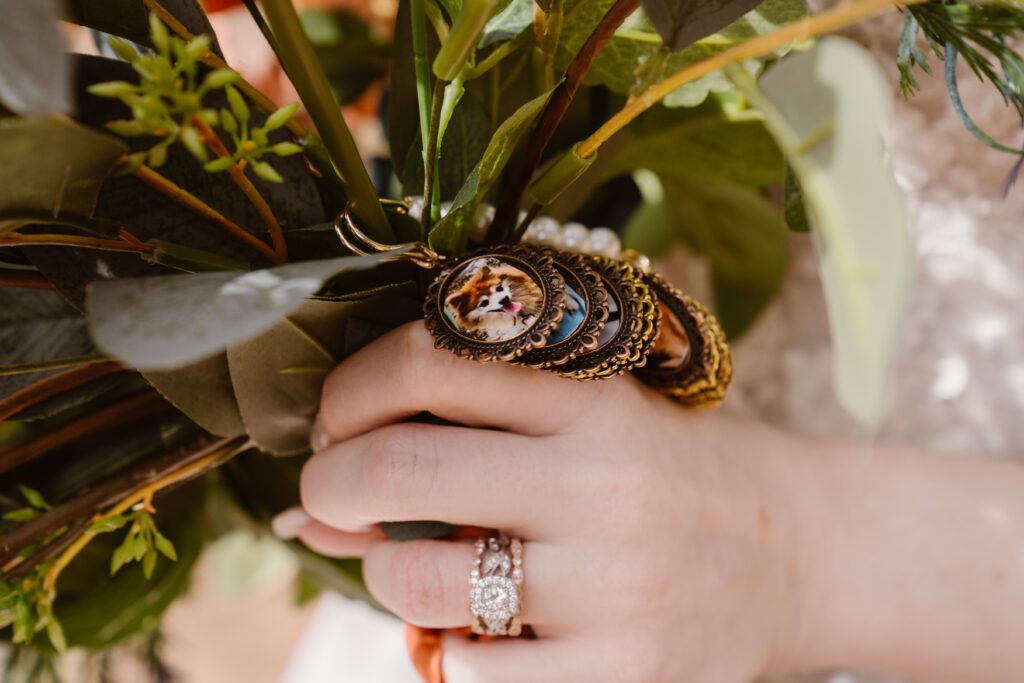 Elope in Rocky Mountain National Park