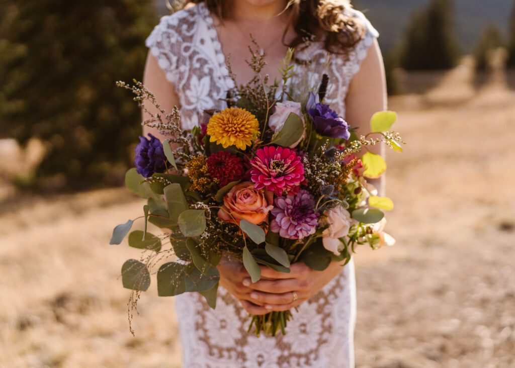 Eco-Friendly Elopement in Colorado