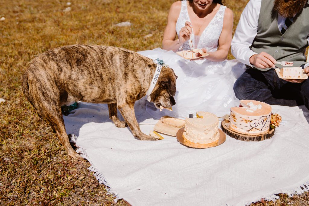fall elopement in breckenridge colorado