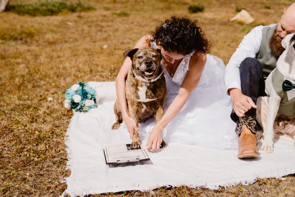 fall elopement in breckenridge colorado