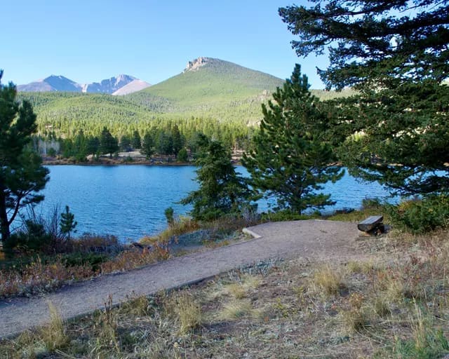Lily Lake Trail wedding ceremony site in RMNP